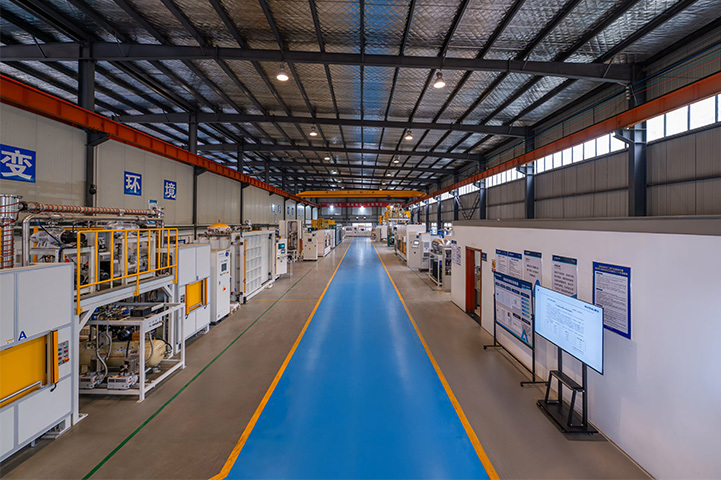 Anhui Wanyi Science and Technology Co., Ltd.